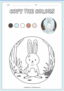 Cute Bunny in the Forest