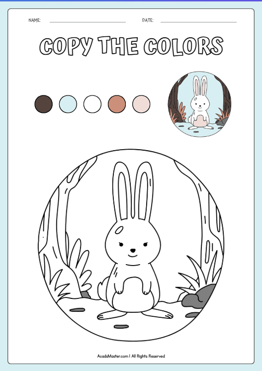 Cute Bunny in the Forest