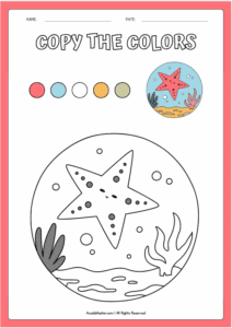 Cute Starfish Under the Sea