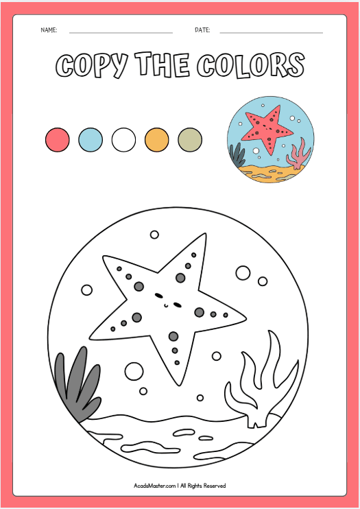 Cute Starfish Under the Sea