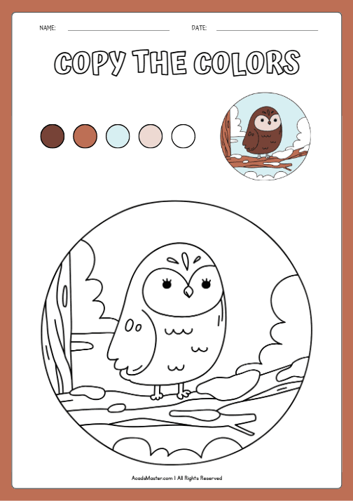 Copy the Color Worksheet – Brown Owl on a Snowy Branch